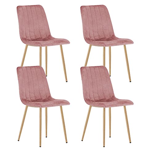 Home Collective Polsterstuhl Esszimmerstuhl Wohnzimmerstuhl Stuhl Bequemes und strapazierfähiges Design mit rosa Samtsitz und holzfarbenen Beinen, 90 cm Höhe, 120 kg Belastbarkeit 4er Set von Home Collective