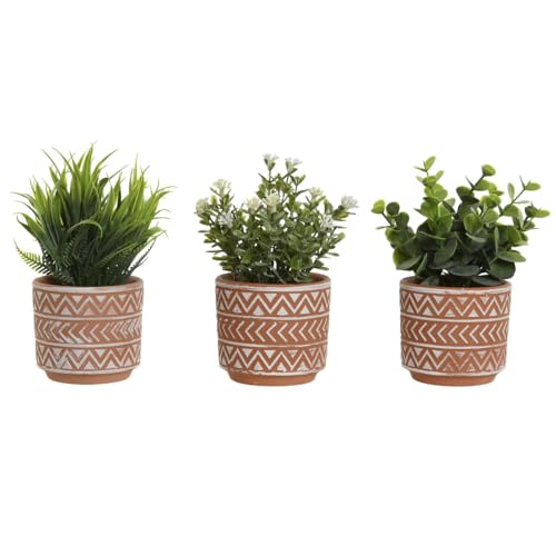 Home ESPRIT Dekorative Pflanze aus Polyethylen, Zement, 12 x 12 x 17 cm (3 Stück) von Home ESPRIT