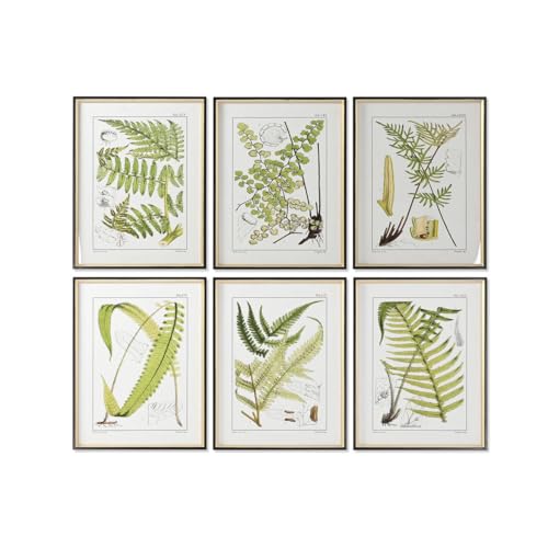 Home ESPRIT Modernes Bild, Farn, 50 x 2,5 x 65 cm (6 Stück) von Home ESPRIT