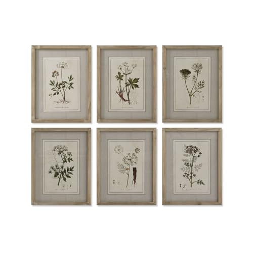 Home ESPRIT Wandbild, Shabby Chic, botanische Pflanzen, 30 x 2 x 40 cm (6 Stück) von Home ESPRIT