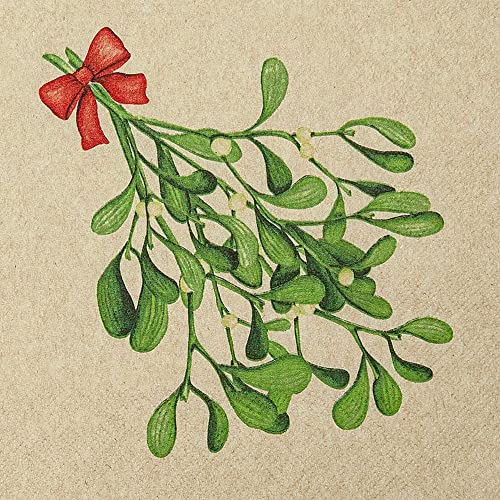 20 Servietten Eco Line nachhaltig aus 100% Recycling-Papier grüner Mistelzweig | Weihnachten | Winter | Natur | Tischdeko 33x33cm von Home Fashion