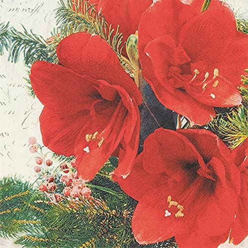 20 Servietten Rote AmaryllisBlüten | Blumen | Winter | Weihnachten | Tischdeko | Decoupage | Serviettentechnik 33x33cm von Home Fashion