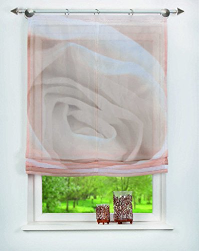 Digital bedrucktes Raffrollo Rosario Sand | transparent | Raffgardine mit Motiv: Rose/Blüte (BxH 100 x 140cm) von Home Fashion