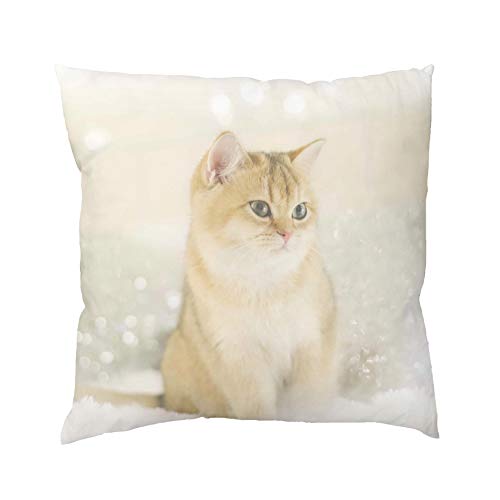 Home Fashion Kissenhülle 66742 Sweety, 40 x 40 cm, Farbe: Natur, Polyester von Home Fashion