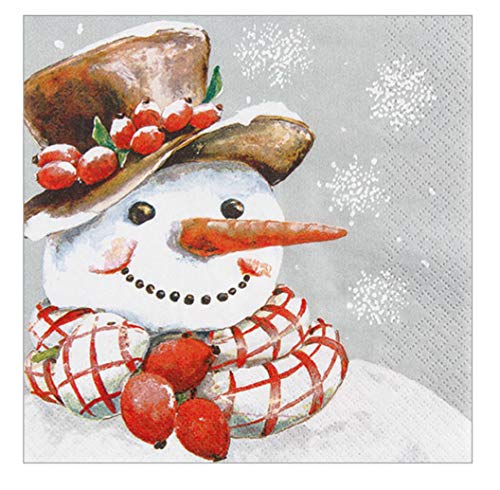 HomeFashion Servietten Weihnachten • Verschiedene ausgefallene Motive zur Auswahl • 33x33 cm je 20 Stück 3-lagig Weihnachten Weihnachtsservietten Serviette Advent Winter (Serviette Frosty) von Home Fashion