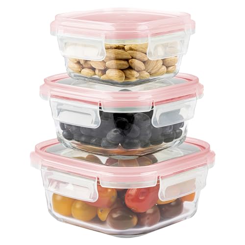 Home Fleek Frischhaltedosen Mit Deckel – Luftdichte Behälter Für Lebensmittel, Glas Schüssel Mit Deckel Set Sicher Für Mikrowelle Und Gefrierschrank | Meal Prep Boxen Glas (3 Quadrat Behälter, Rot) von Home Fleek