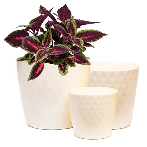 Home Garden Ornaments Blumentopf Übertopf Set aus 3 Kunststoff Blumentöpfen – Kristallstruktur, glänzende Oberfläche, Keine Drainagelöcher – Übertöpfe für Zimmerpflanzen (14 cm, 16 cm, 18 cm, Creme) von Home Garden Ornaments