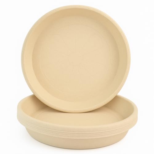 Home Garden Ornaments Blumentopf Untersetzer Set 5 Stück – Rund, Kunststoff Pflanzenuntersetzer für Innen und Außen – für Pflanzkübel – Viele Größen und Farben (Beige, 10 cm außen / 8 cm innen) von Home Garden Ornaments