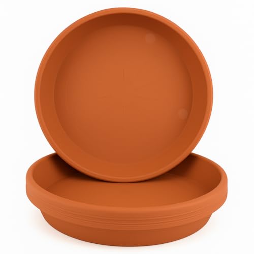 Home Garden Ornaments Blumentopf Untersetzer Set 5 Stück aus Kunststoff, Pflanzenuntersetzer für Innen und Außen, für Pflanzkübel, viele Größen und Farben (Terrakotta, 23 cm außen / 18,5 cm innen) von Home Garden Ornaments