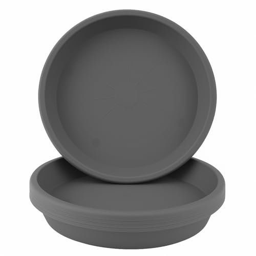Home Garden Ornaments Blumentopf Untersetzer Set 5 Stück aus Kunststoff, Pflanzenuntersetzer für Innen und Außen, für Pflanzkübel, viele Größen und Farben (Grau, 23 cm außen / 18,5 cm innen) von Home Garden Ornaments