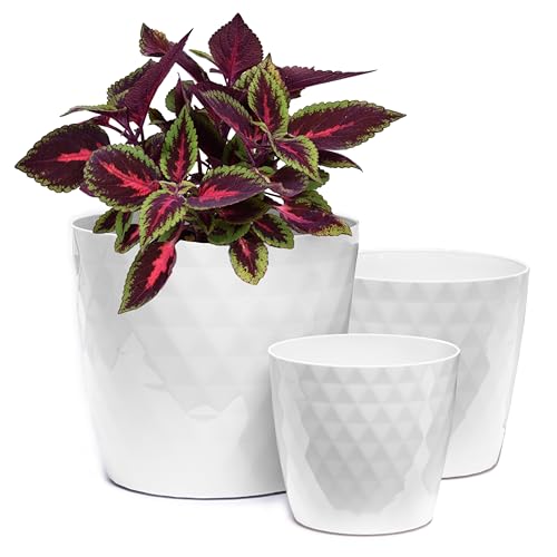Home Garden Ornaments Blumentopf Übertopf Set aus 3 Kunststoff Blumentöpfen – Kristallstruktur, glänzende Oberfläche, Keine Drainagelöcher – Übertöpfe für Zimmerpflanzen (14 cm, 16 cm, 18 cm, Weiß) von Home Garden Ornaments
