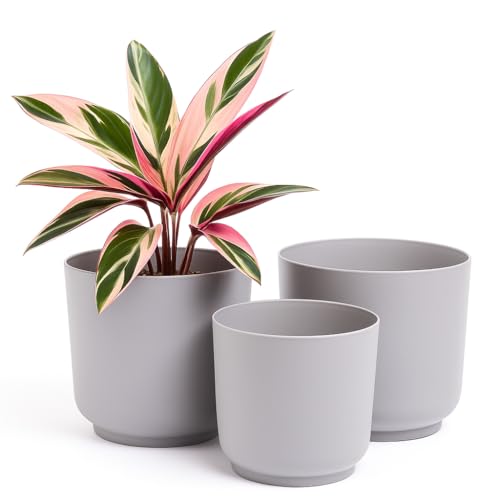 Home Garden Ornaments Luna Pflanzkübel für den Innenbereich – Set mit 3 Pflanzkübeln für den Innenbereich mit Matter Oberfläche, Blumentöpfe ohne Drainagelöcher (Größen: 13cm, 15cm, 17cm, Grau) von Home Garden Ornaments