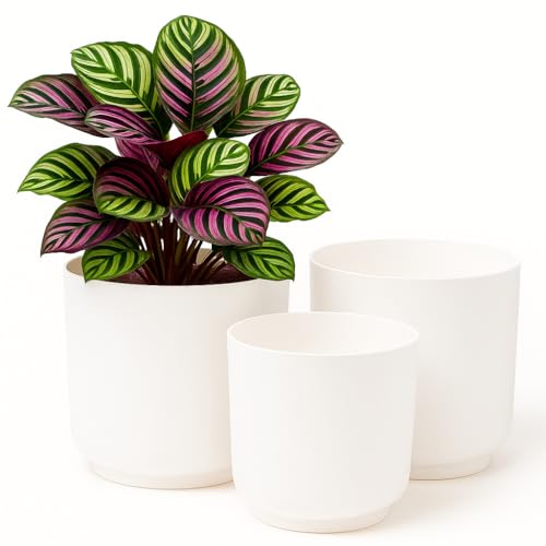 Home Garden Ornaments – Luna Übertopf 3er-Set Aus Kunststoff, Moderner Blumenübertopf & Blumentopf Für Innenräume, Matt, Ohne Abflusslöcher (Weiß, 13/15/17 cm) Home Garden Ornaments – Luna Übertopf 3er-Set Aus Kunststoff, Moderner Blumenübertopf & Blumentopf Für Innenräume, Matt, Ohne Abflusslöcher (Weiß, 13/15/17 cm) von Home Garden Ornaments
