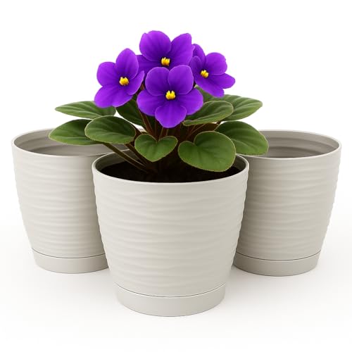 Home Garden Ornaments Pflanzentopf für Zimmerpflanzen – 3er Set Blumentöpfe aus Kunststoff mit Wellenstruktur, Drainagelöchern & integriertem Untersetzer – für Innen & Außenbereich (15 cm, hellgrau) Home Garden Ornaments Pflanzentopf für Zimmerpflanzen – 3er Set Blumentöpfe aus Kunststoff mit Wellenstruktur, Drainagelöchern & integriertem Untersetzer – für Innen & Außenbereich (15 cm, hellgrau) von Home Garden Ornaments