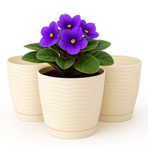 Home Garden Ornaments Pflanzentopf für Zimmerpflanzen – 3er Set Blumentöpfe aus Kunststoff mit Wellenstruktur, Drainagelöchern & integriertem Untersetzer – für Innen & Außenbereich (15 cm, Creme) Home Garden Ornaments Pflanzentopf für Zimmerpflanzen – 3er Set Blumentöpfe aus Kunststoff mit Wellenstruktur, Drainagelöchern & integriertem Untersetzer – für Innen & Außenbereich (15 cm, Creme) von Home Garden Ornaments
