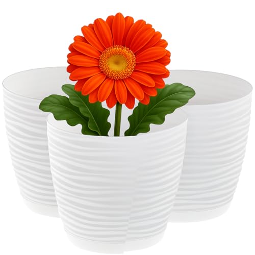 Home Garden Ornaments Pflanzentopf für Zimmerpflanzen – 3er Set Blumentöpfe aus Kunststoff mit Wellenstruktur, Drainagelöchern & integriertem Untersetzer – für Innen & Außenbereich (15 cm, weiß) Home Garden Ornaments Pflanzentopf für Zimmerpflanzen – 3er Set Blumentöpfe aus Kunststoff mit Wellenstruktur, Drainagelöchern & integriertem Untersetzer – für Innen & Außenbereich (15 cm, weiß) von Home Garden Ornaments