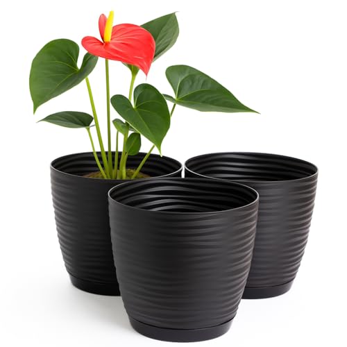 Home Garden Ornaments Pflanzentopf für Zimmerpflanzen – 3er Set Blumentöpfe aus Kunststoff mit Wellenstruktur, Drainagelöchern & integriertem Untersetzer – für Innen & Außenbereich (15 cm, schwarz) Home Garden Ornaments Pflanzentopf für Zimmerpflanzen – 3er Set Blumentöpfe aus Kunststoff mit Wellenstruktur, Drainagelöchern & integriertem Untersetzer – für Innen & Außenbereich (15 cm, schwarz) von Home Garden Ornaments