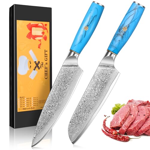 Home Safety Damast Messerset 2STK, Damast Santokumesser Set Sushimesserset aus 67 Lagen Vg-10 Damaststahl, Profi Damast Kochmesser Set Ergonomischer Naturharzgriff, Geschenkbox von Home Safety