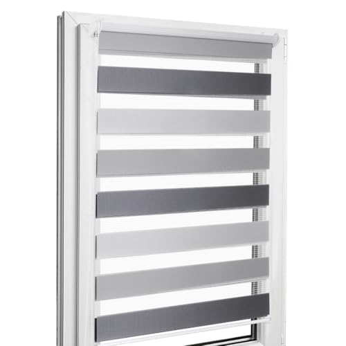 Home-Vision® DuoRollo Klemmfix, Doppelrollo ohne Bohren mit Klämmträgern, DuoRollos für Fenster und Türen (Hellgrau-Grau-Graphit, B45cm x H220cm) von Home-Vision
