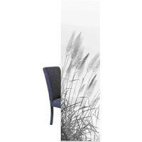 HOME WOHNIDEEN Schiebegardine "SCHIEBEVORHANG DEKOSTOFF DIGITALDRUCK PAMPAS" Paneelwagen 1 Stk. tlg. DIGITALDRUCK - INDIVIDUELL KÜRZBAR von Home Wohnideen