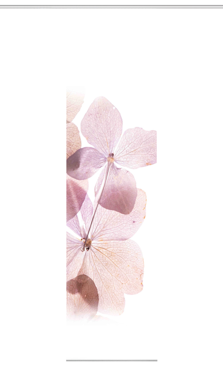 Home Wohnideen Schiebegardine Bonita 245 x 60 cm rose von Home Wohnideen