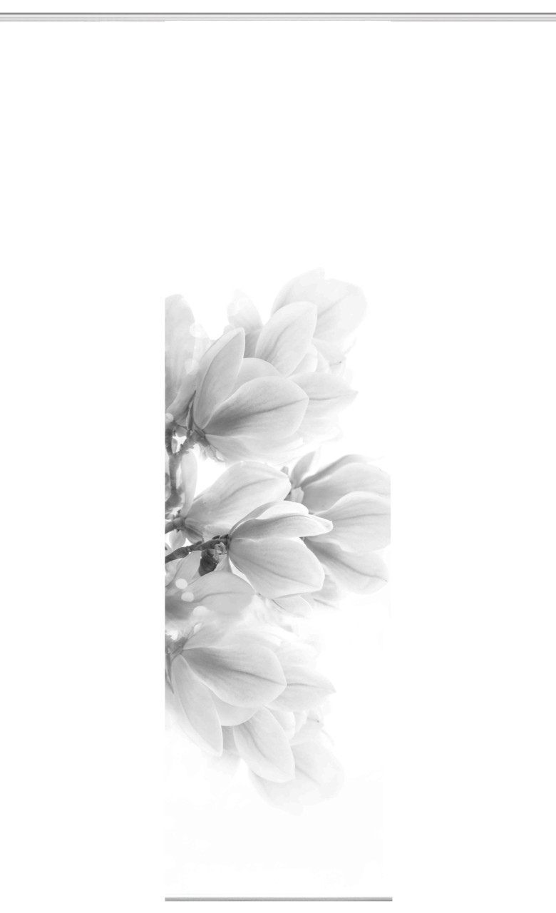 Home Wohnideen Schiebegardine Kessi 245 x 60 cm grau von Home Wohnideen