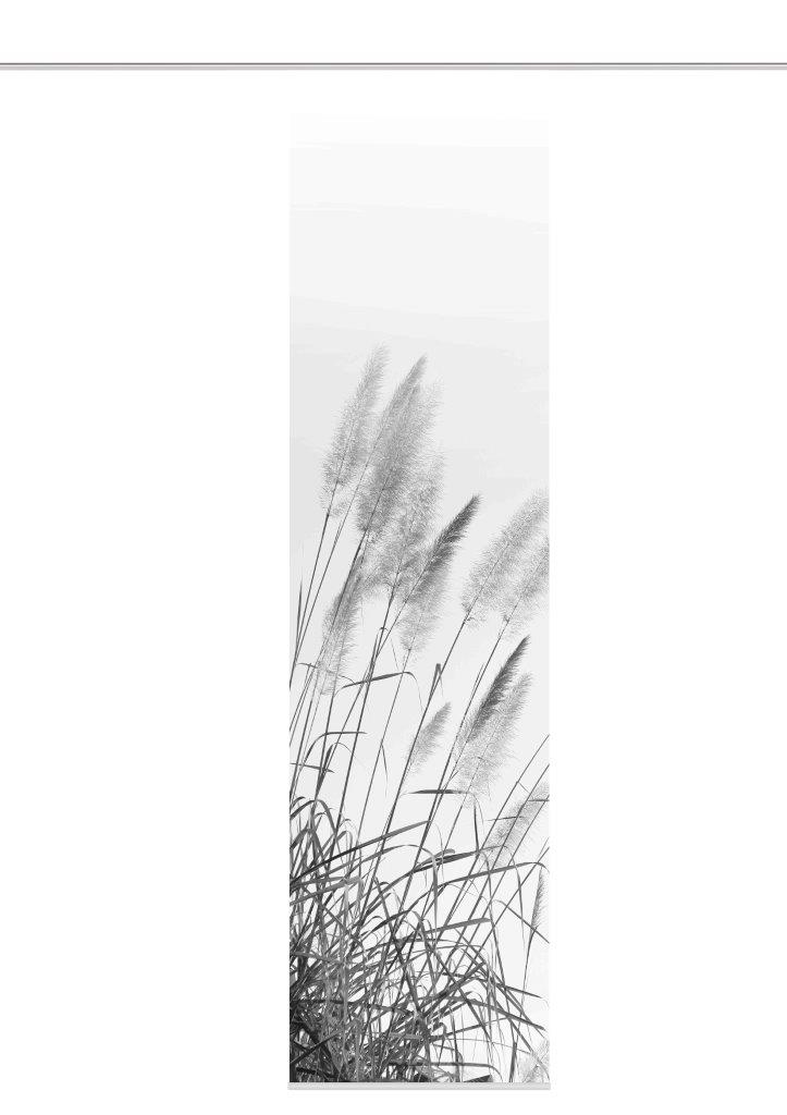 Home Wohnideen Schiebegardine Pamaps 245 x 60 cm grau Home Wohnideen Schiebegardine Pamaps 245 x 60 cm grau von Home Wohnideen