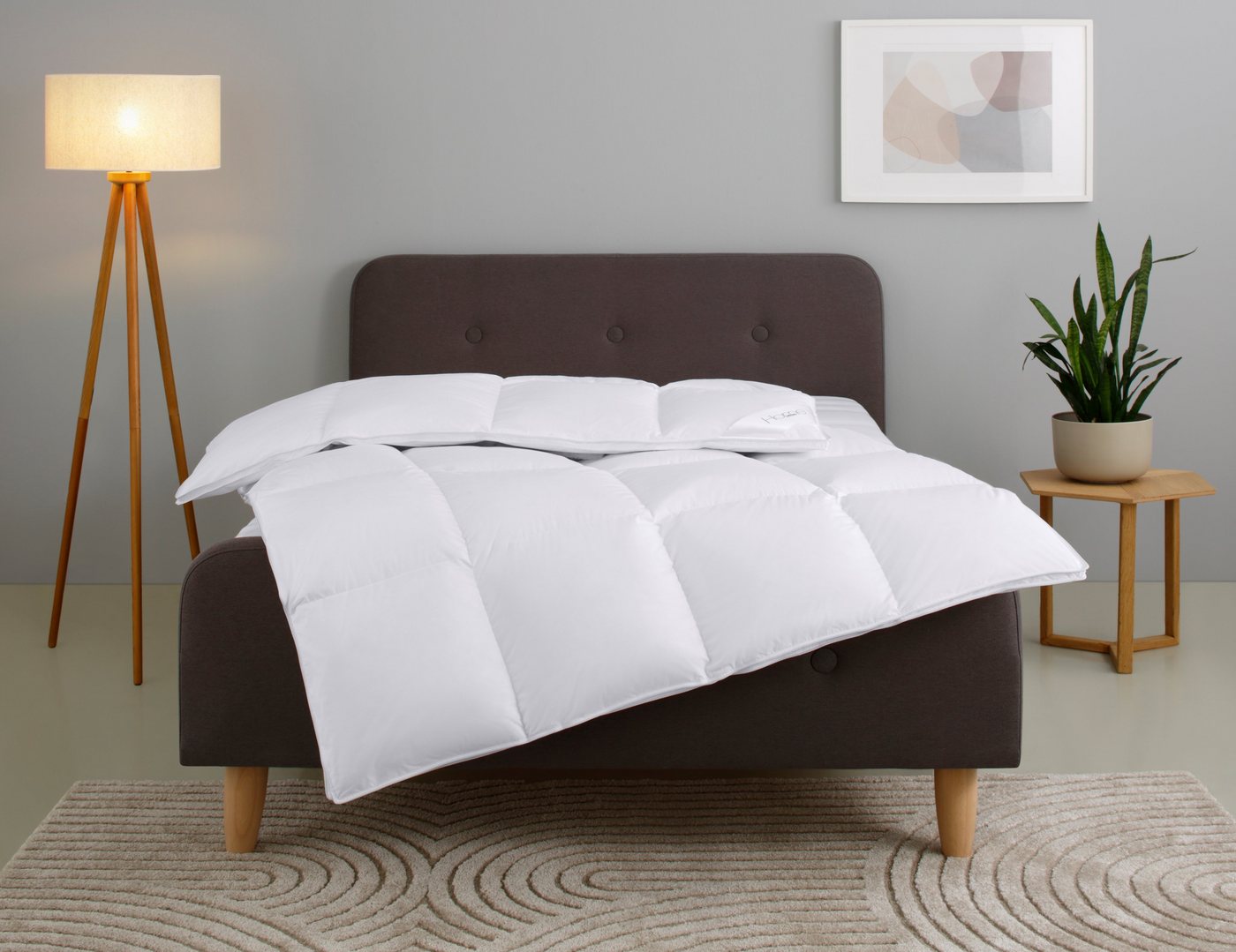 Home affaire Daunenbettdecke Litrone, Bettdecke 135x200 cm, 155x220 cm, 200x200 cm, 240x220 cm, Füllung: 100% Gänsedaunen, Bezug: Baumwolle, Bettdecken, Sommer, Winter, Ganzjahresdecke, Decke, Made in Germany Home affaire Daunenbettdecke Litrone, Bettdecke 135x200 cm, 155x220 cm, 200x200 cm, 240x220 cm, Füllung: 100% Gänsedaunen, Bezug: Baumwolle, Bettdecken, Sommer, Winter, Ganzjahresdecke, Decke, Made in Germany von Home affaire