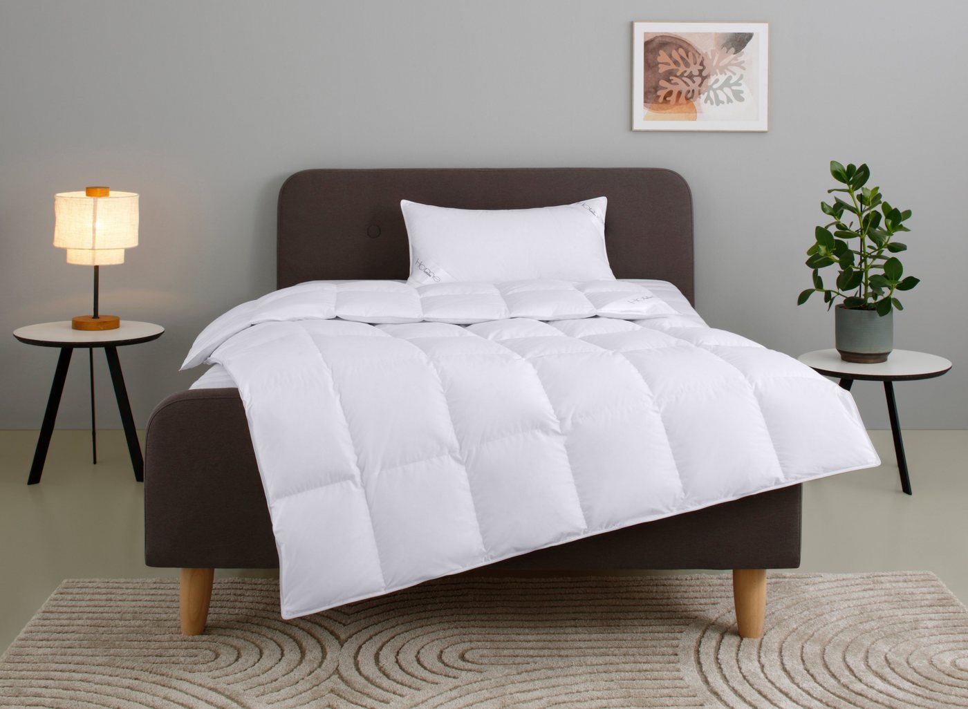 Home affaire Daunenbettdecke + Kopfkissen Litrone Bettdecke 135x200 cm, 155 x220 cm, Füllung: Gänsedaunen & Gänsefedern, Set mit Kissen 40x80 cm, 80x80 cm, Frühling, Sommer, Herbst, Winter Home affaire Daunenbettdecke + Kopfkissen Litrone Bettdecke 135x200 cm, 155 x220 cm, Füllung: Gänsedaunen & Gänsefedern, Set mit Kissen 40x80 cm, 80x80 cm, Frühling, Sommer, Herbst, Winter von Home affaire