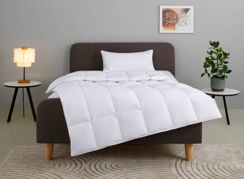 Home affaire Daunenbettdecke + Kopfkissen Litrone Bettdecke 135x200 cm, 155 x220 cm, Füllung: Gänsedaunen & Gänsefedern, Set mit Kissen 40x80 cm, 80x80 cm, Frühling, Sommer, Herbst, Winter von Home affaire