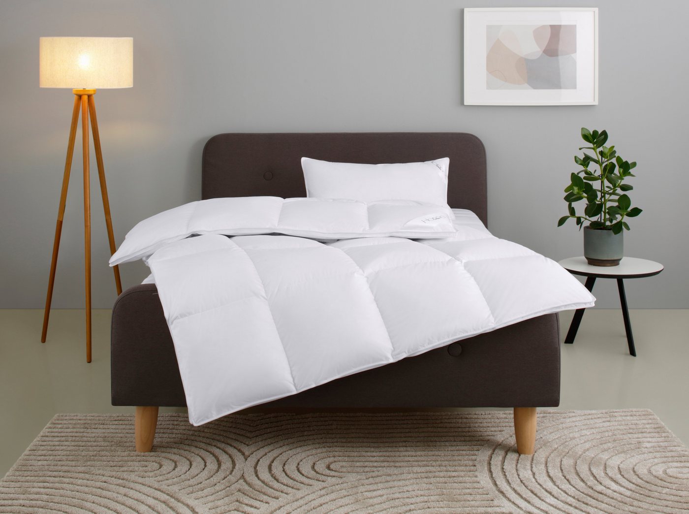 Home affaire Daunenbettdecke + Kopfkissen Litrone Bettdecke 135x200 cm, 155 x220 cm, Füllung: Gänsedaunen & Gänsefedern, Set mit Kissen 40x80 cm, 80x80 cm, Frühling, Sommer, Herbst, Winter Home affaire Daunenbettdecke + Kopfkissen Litrone Bettdecke 135x200 cm, 155 x220 cm, Füllung: Gänsedaunen & Gänsefedern, Set mit Kissen 40x80 cm, 80x80 cm, Frühling, Sommer, Herbst, Winter von Home affaire