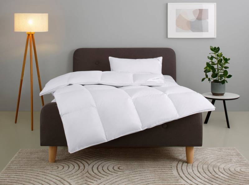 Home affaire Daunenbettdecke + Kopfkissen Litrone Bettdecke 135x200 cm, 155 x220 cm, Füllung: Gänsedaunen & Gänsefedern, Set mit Kissen 40x80 cm, 80x80 cm, Frühling, Sommer, Herbst, Winter von Home affaire