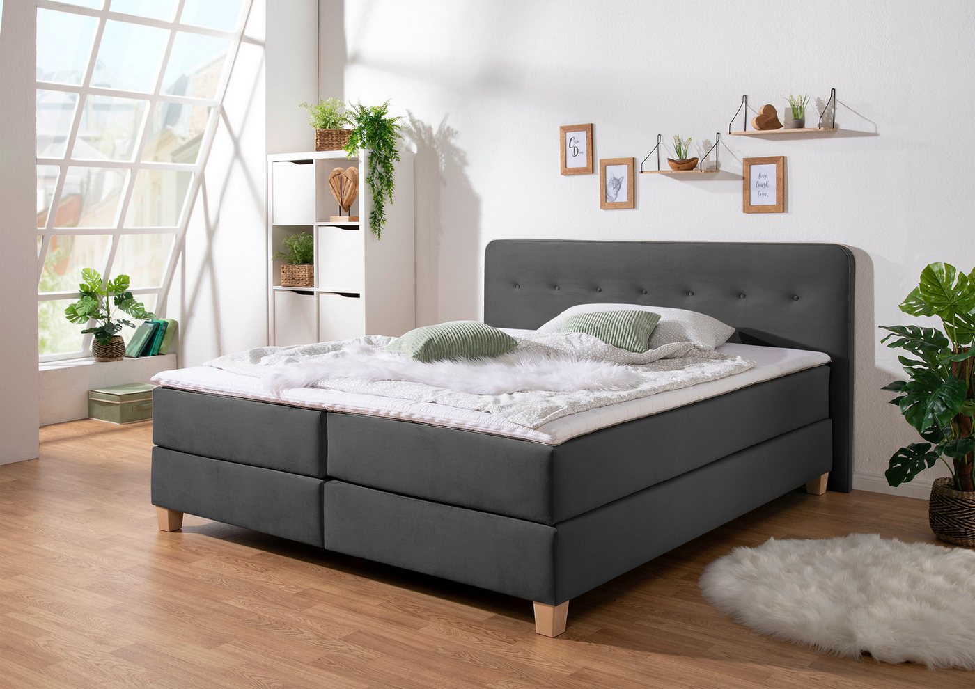 Home affaire Boxspringbett Fargo, inkl. Topper, in 3 Matratzenarten, in Samt- oder Strukturstoff Home affaire Boxspringbett Fargo, inkl. Topper, in 3 Matratzenarten, in Samt- oder Strukturstoff von Home affaire