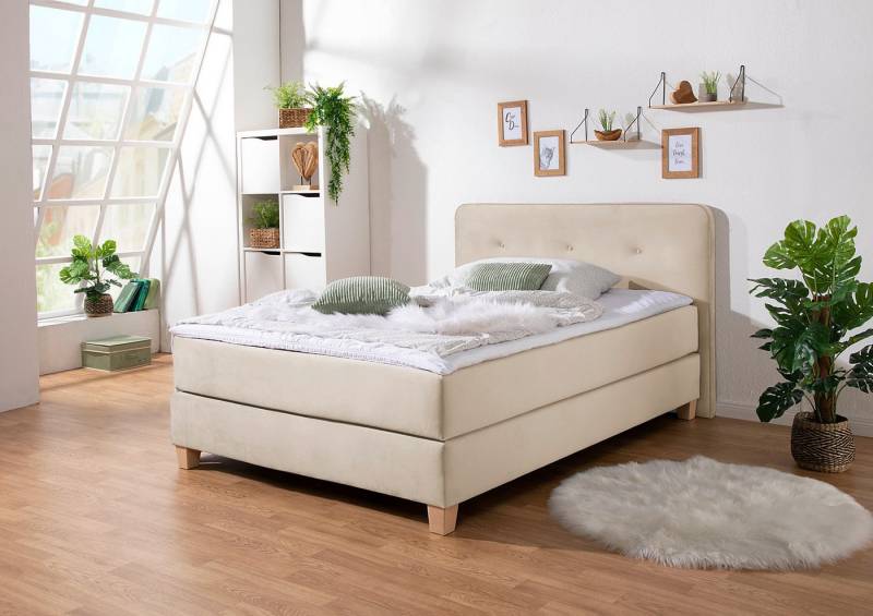 Home affaire Boxspringbett Fargo, inkl. Topper, in 3 Matratzenarten, in Samt- oder Strukturstoff von Home affaire