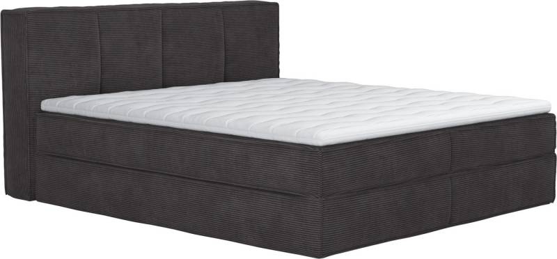 LeGer Home by Lena Gercke Boxspringbett Addyson (Härtegrade H2, H3 und H4 wählbar), Boxspringbett inkl. Topper, 2 Matratzen von LeGer Home by Lena Gercke