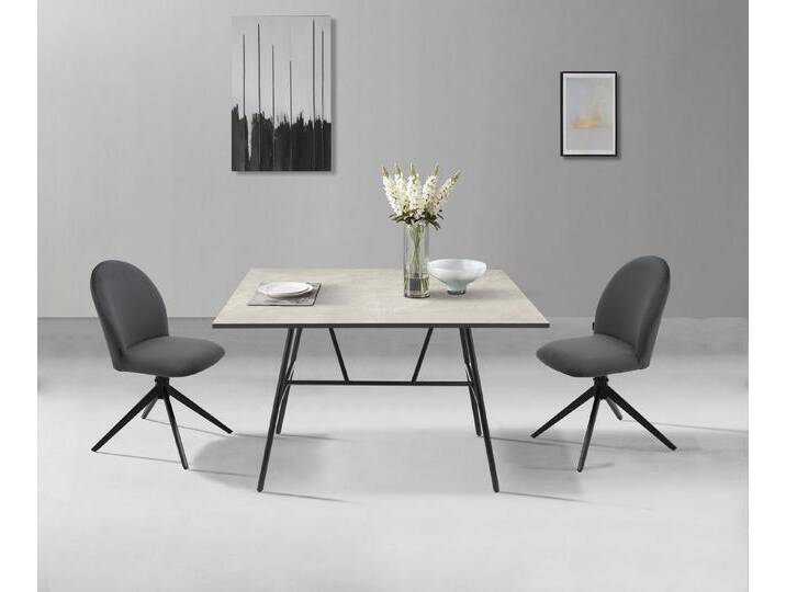 Home affaire Esszimmerstuhl Tempa, TOPSELLER!, OTTOs Choice (Set, 2 St), Drehstuhl mit 360 Grad Drehfunktion, grau, anthrazit von Home-affaire