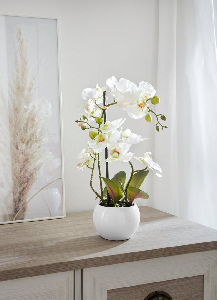 Kunstorchidee Ernestine Orchidee, Home affaire, Höhe 42 cm, Kunstpflanze, im Topf von Home affaire