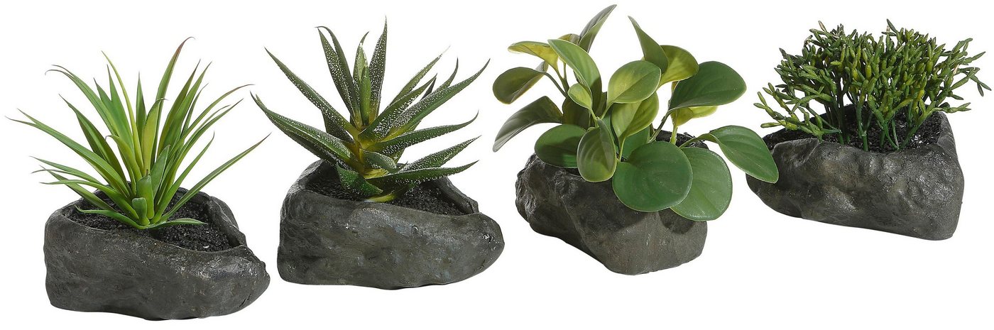 Kunstpflanze Sukkulenten, Home affaire, Höhe 12 cm, 4er Set von Home affaire