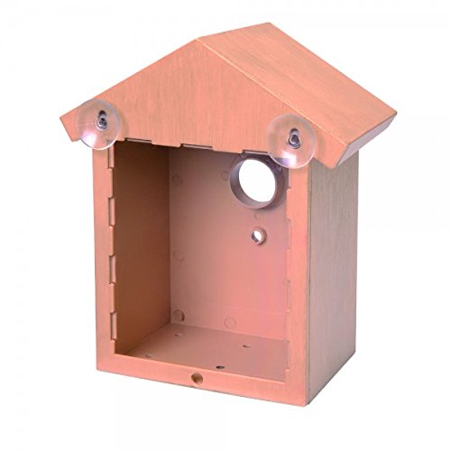 Home and Co Vogelhaus Observoiseaux für Fenster, Boden klar getönt Home and Co Vogelhaus Observoiseaux für Fenster, Boden klar getönt von Home and Co