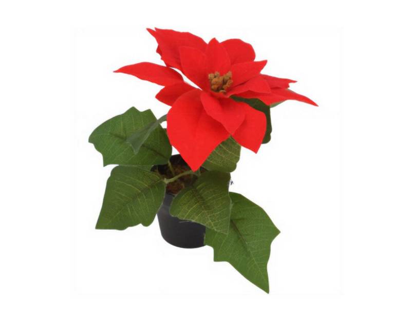 Home & styling collection Dekoobjekt Weihnachtsstern (1 Stk., Kunstpflanze) von Home & styling collection