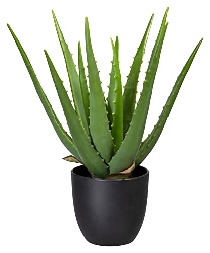 Home4You Kunstpflanze Aloe Vera - Grün - schwarzer Kunststofftopf - H 33 cm von Home4You