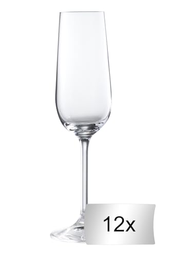 Home4You Sektgläser 12er Set Proseccogläser Champagnergläser - ca. 190 ml von Home4You