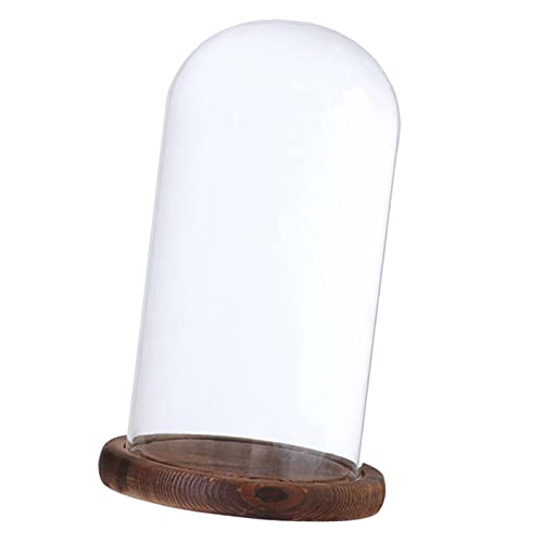 HomeDecTime Blumentopf aus Glas, transparent, glockenförmig, braun F von HomeDecTime