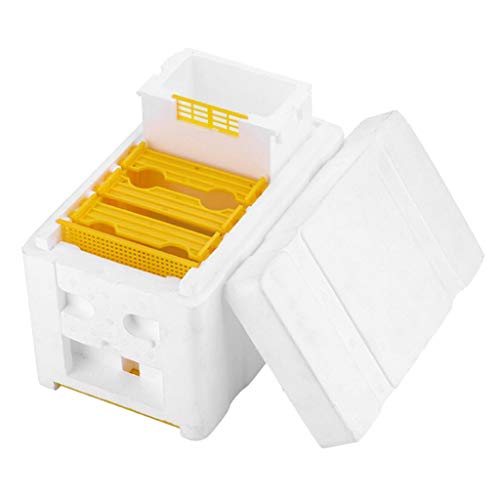 HomeDecTime Ernte Bienenstock Bestäubung Imkerei König Box für die Königinnenzucht Werkzeug Imkerei Ausrüstung von HomeDecTime