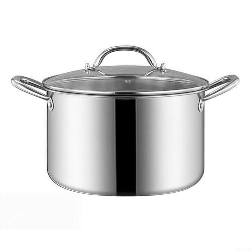 Robuster Edelstahl-Kochtopf mit Deckel, perfekt für den täglichen Gebrauch in jeder Küche von HomeVortex