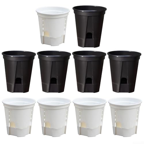 Set mit 10 innovativen, selbstbewässernden Pflanzgefäßen mit effizienter Entwässerung und benutzerfreundlichem Design (180B) von HomeVortex
