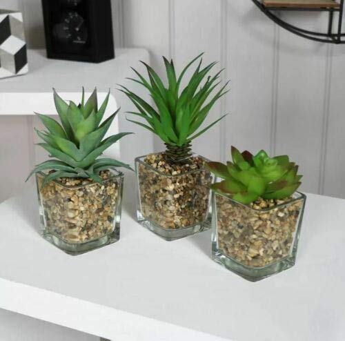 HomeZone Set von 3 künstlichen Pflanzen in Glas-Töpfen mit Steinen, Heimdekoration, kleine Kakteen, Kakteen, künstliche Pflanzen, Sukkulenten, Geschenk von HomeZone