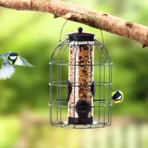 Homezone Garden Mile Eichhörnchen Sicher Füttern Käfig Samen Muttern Fett Kugeln mit Sicher Schutz Außen Käfig Schutz für Garten - Futtersäule von HomeZone