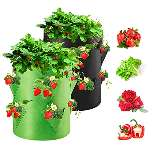 Homealexa Pflanzsack, Pflanzen Tasche Pflanzbeutel 40L/10 Gallonen mit Griffen, Dauerhaft Atmungsaktiv Beutel Gemüse Grow Bag, 2er Pack (Erdbeere 2) von Homealexa