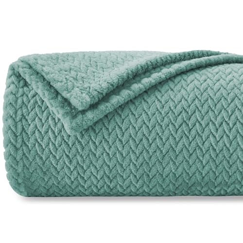 Homebliss Kuscheldecke 130 x 150 cm Flauschig Fleecedecke-Oeko-TEX® Zertifiziert,Decke Couch Blanket,Super Weiche Fleecedecke als Sofaüberwurf-oder Bettüberwurf,Tagesdecke - Mintgrün von Homebliss